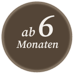 ab 6 Monaten